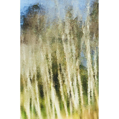 Acrylic Light Black Modern Wood Framed Art Print by Saito, Misaki