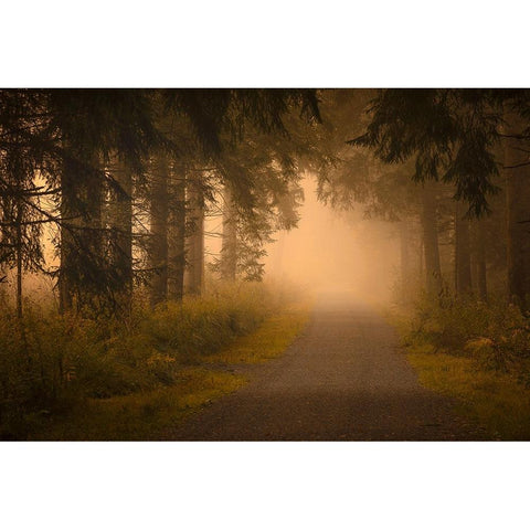 On the way into the fog Gold Ornate Wood Framed Art Print with Double Matting by Maier, Norbert