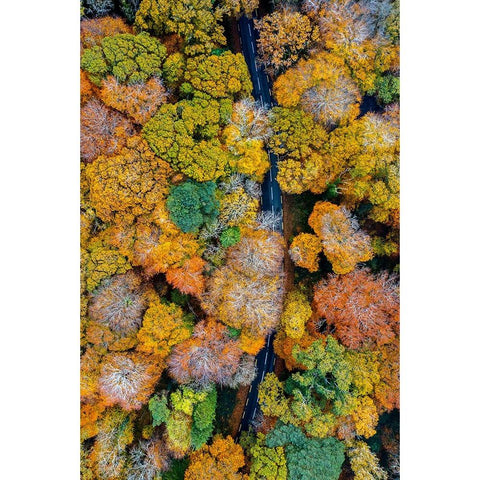 Autumn firework Black Modern Wood Framed Art Print with Double Matting by Jubic, Srecko