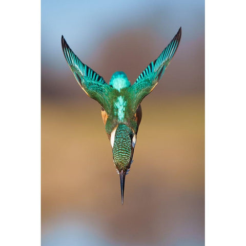 Aerodynamics II White Modern Wood Framed Art Print by Sabol, Petar