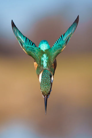 Aerodynamics II White Modern Wood Framed Art Print with Double Matting by Sabol, Petar