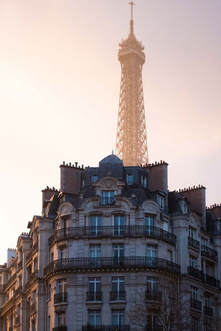 The Peeking Eiffel Black Ornate Wood Framed Art Print with Double Matting by Chodus, Yochai