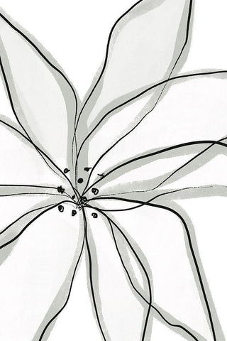 Fragile Flower White Modern Wood Framed Art Print with Double Matting by Sawall, Anastasia