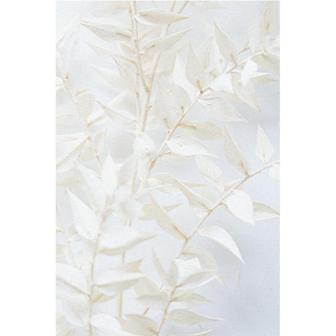 Misty Twig Black Modern Wood Framed Art Print with Double Matting by Sawall, Anastasia