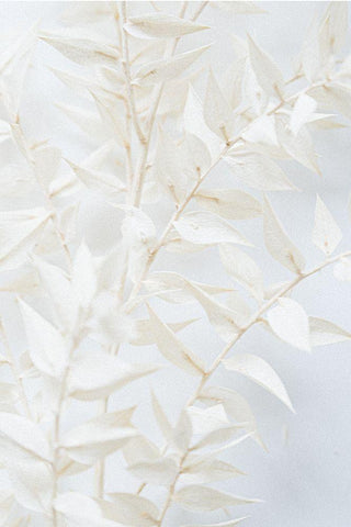 Misty Twig White Modern Wood Framed Art Print with Double Matting by Sawall, Anastasia