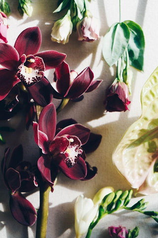 Flower Mood Black Ornate Wood Framed Art Print with Double Matting by Sawall, Anastasia