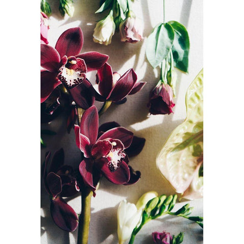 Flower Mood Black Modern Wood Framed Art Print with Double Matting by Sawall, Anastasia