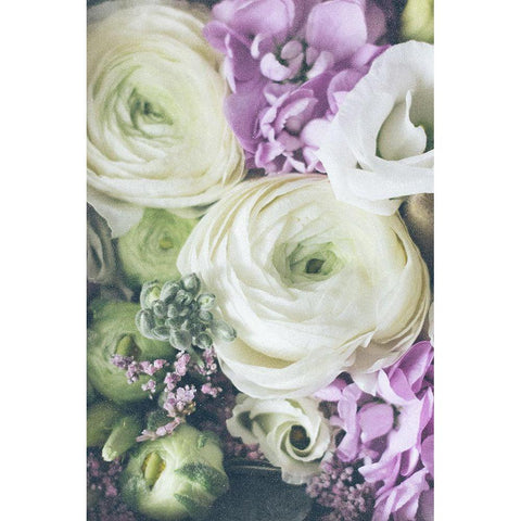 Lovely Ranunculus Gold Ornate Wood Framed Art Print with Double Matting by Sawall, Anastasia