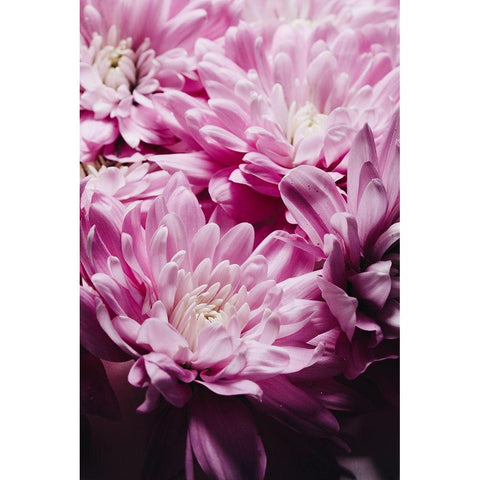 One of a kind Black Modern Wood Framed Art Print with Double Matting by Sawall, Anastasia