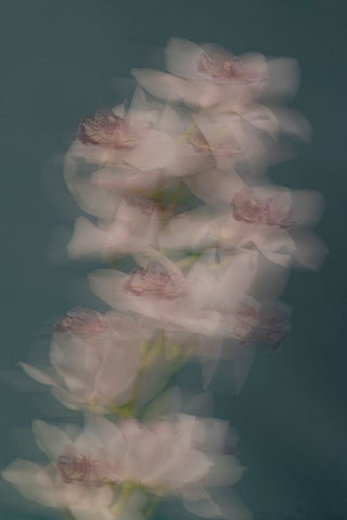 Slow motion White Modern Wood Framed Art Print with Double Matting by Basso, Donatella