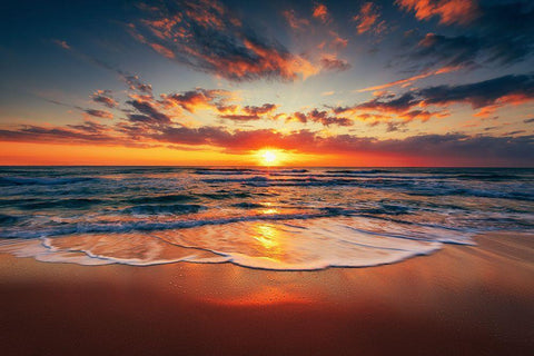 Sunrise on the beach Black Ornate Wood Framed Art Print with Double Matting by Valkov, Valentin