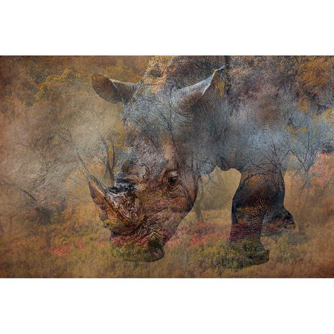 Rino Gold Ornate Wood Framed Art Print with Double Matting by Martins, Vitor