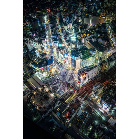 Tokyo Black Modern Wood Framed Art Print by Naka