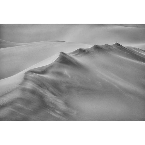 Blowing Sand Black Modern Wood Framed Art Print with Double Matting by Zheng, Michael