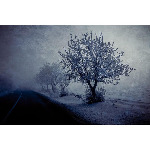 At night foggy Black Modern Wood Framed Art Print with Double Matting by Kazamil, Farid