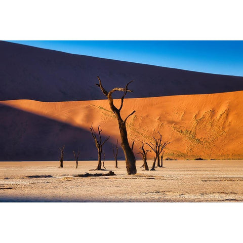 Deadvlei Gold Ornate Wood Framed Art Print with Double Matting by Zheng, Michael