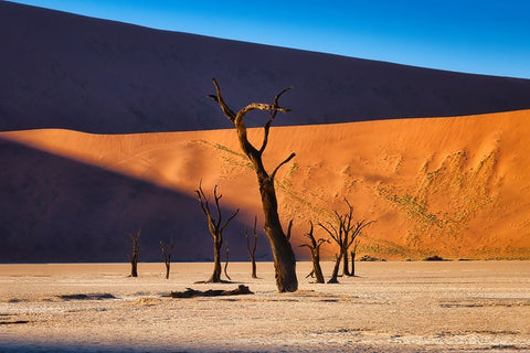 Deadvlei Black Ornate Wood Framed Art Print with Double Matting by Zheng, Michael