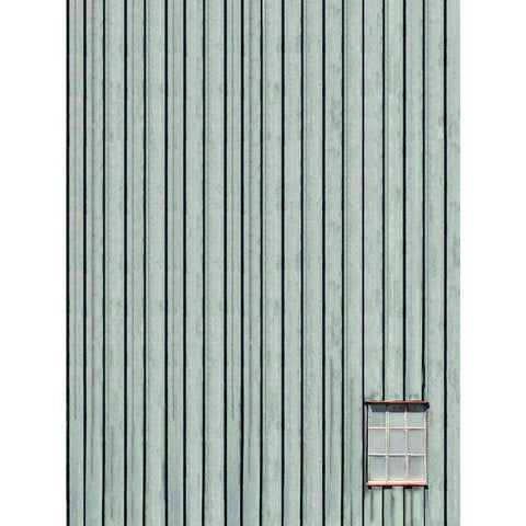 Green window Black Modern Wood Framed Art Print with Double Matting by Cederberg, Marcus