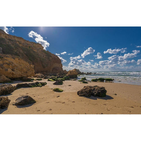 After The Storm Black Modern Wood Framed Art Print by Gelman, Alan