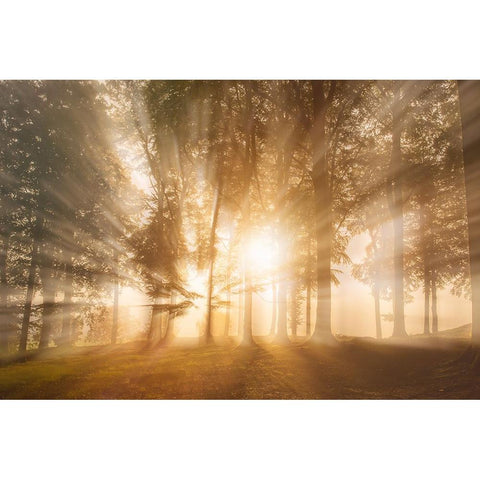 Blinded by the light Black Modern Wood Framed Art Print by Londal, Leif