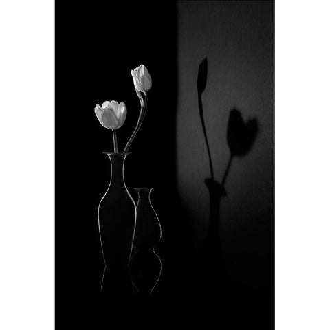 The Shadow of Spring White Modern Wood Framed Art Print by Zhang, Libby