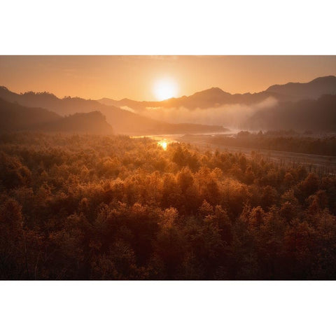 Red forest Gold Ornate Wood Framed Art Print with Double Matting by Hao, Damon