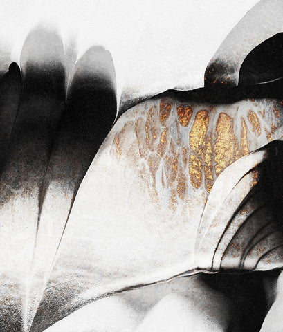 Gold Veins Black Ornate Wood Framed Art Print with Double Matting by Fredriksson, Elisabeth