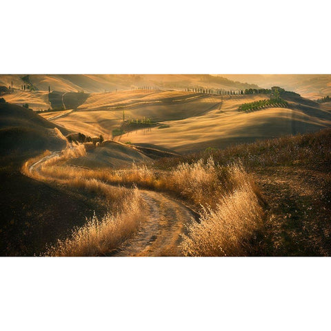 Road... White Modern Wood Framed Art Print by Browko, Krzysztof