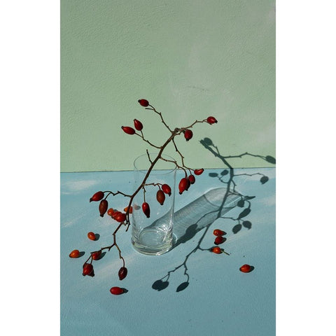 Berries White Modern Wood Framed Art Print by Basso, Donatella