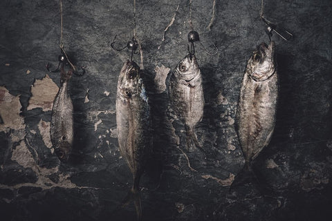 A New Order Of Life Black Ornate Wood Framed Art Print with Double Matting by Kazamil, Farid