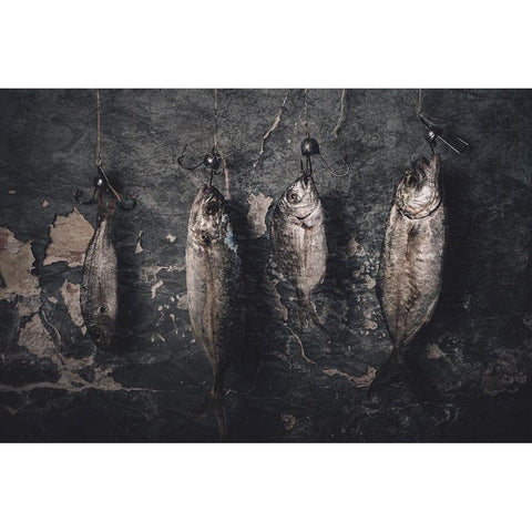 A New Order Of Life Black Modern Wood Framed Art Print with Double Matting by Kazamil, Farid