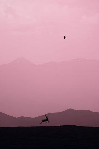 caracc White Modern Wood Framed Art Print with Double Matting by Guan, Xiaopeng