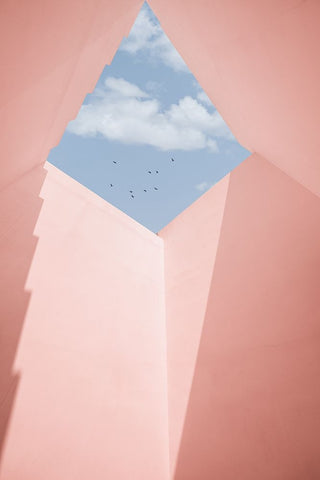 Build View Black Ornate Wood Framed Art Print with Double Matting by Guan, Xiaopeng