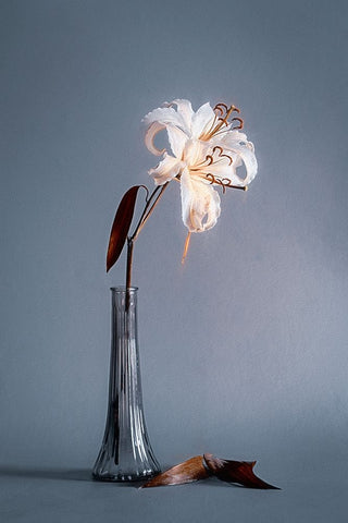 Elegant Lines Black Ornate Wood Framed Art Print with Double Matting by Kiral, Cicek