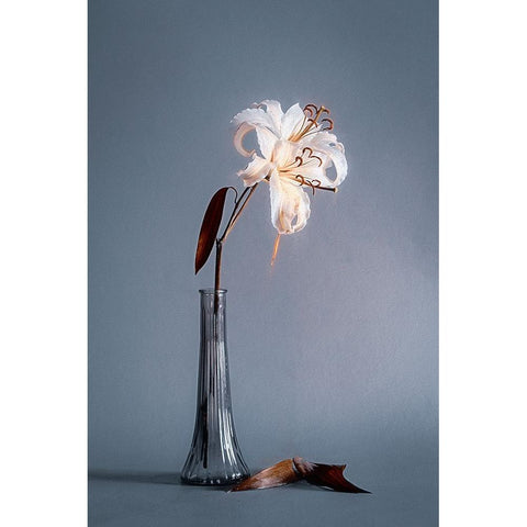 Elegant Lines Black Modern Wood Framed Art Print by Kiral, Cicek