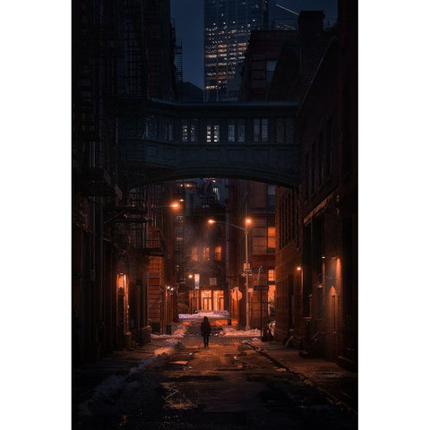 Under The Skybridge Gold Ornate Wood Framed Art Print with Double Matting by De La, Javier