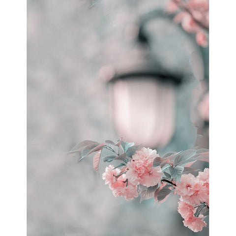 Cherry Blossom Under Street Lamp Black Modern Wood Framed Art Print with Double Matting by Liu, Betty