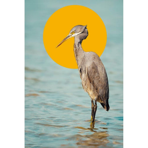 The Saint White Modern Wood Framed Art Print by Hossameldin, Hany