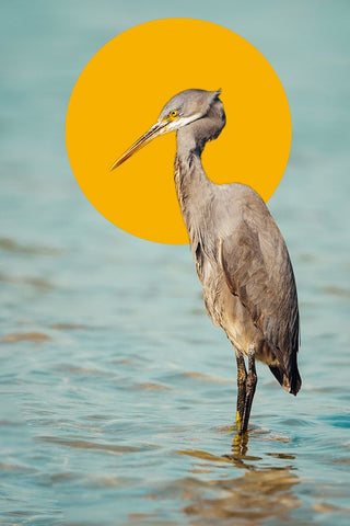 The Saint White Modern Wood Framed Art Print with Double Matting by Hossameldin, Hany