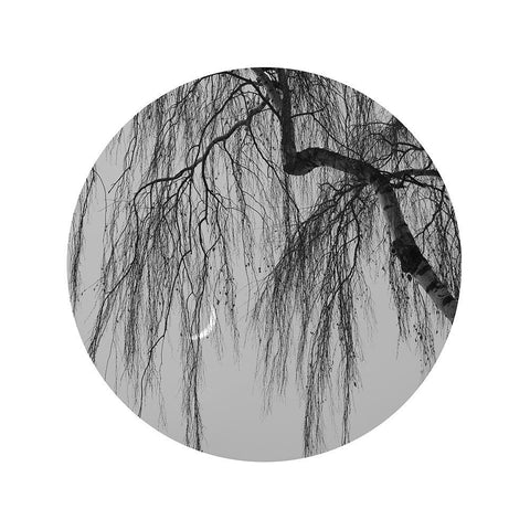Early Spring No.1 White Modern Wood Framed Art Print by Wei, Xiang
