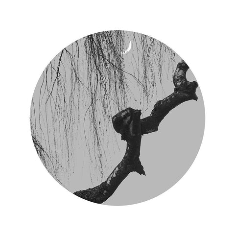 Early Spring No.4 Black Modern Wood Framed Art Print by Wei, Xiang