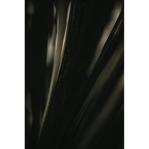 Botanical Series - Palm Leaf Black Modern Wood Framed Art Print by Elijas, Eva