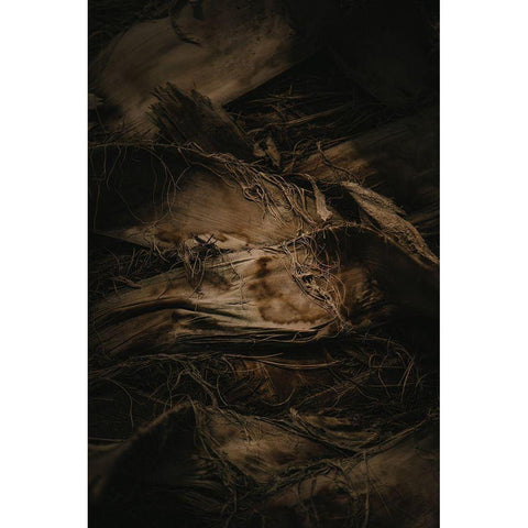 Botanical Series - Palm Bark Black Modern Wood Framed Art Print by Elijas, Eva