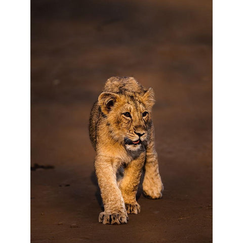 New Blood ! Black Modern Wood Framed Art Print by Singodia, Kanchan