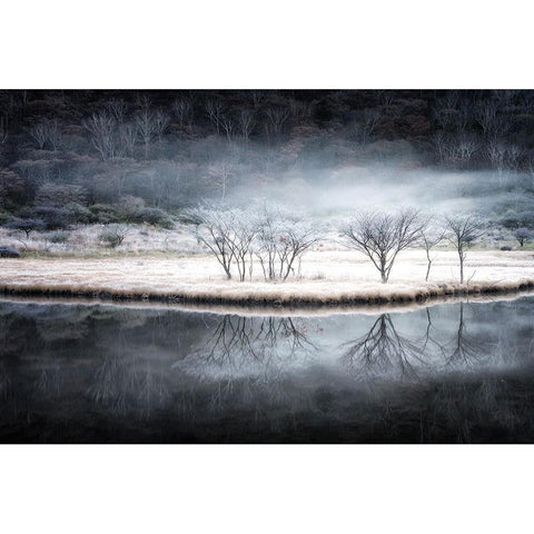 Between autumn and winter Black Modern Wood Framed Art Print with Double Matting by Suzuki, Daiki