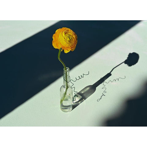 Light A Shadow Gold Ornate Wood Framed Art Print with Double Matting by Basso, Donatella