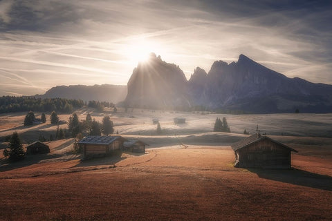 Sweet Dreams Black Ornate Wood Framed Art Print with Double Matting by De Franzoni, Thomas