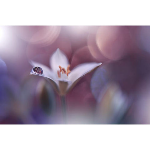 Time Traveller.. Gold Ornate Wood Framed Art Print with Double Matting by Nan, Juliana