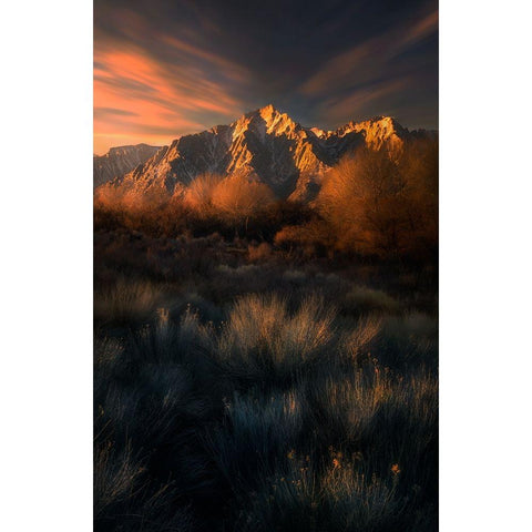 Light Touch Gold Ornate Wood Framed Art Print with Double Matting by P., Ruiqing