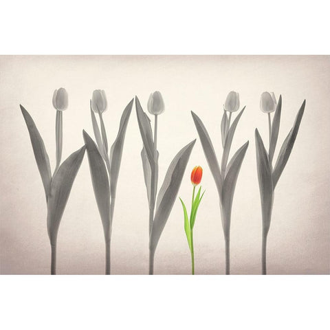 Tulip Forest Gold Ornate Wood Framed Art Print with Double Matting by Jacobs, Lydia